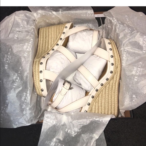 Coach Shoes - Coach Darcy Semi Matte Calf in Chalk.